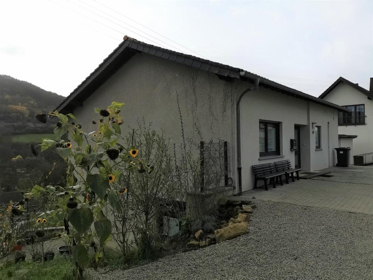 Ferienhaus Fraeulein Frenz Bollendorf Exteriér fotografie