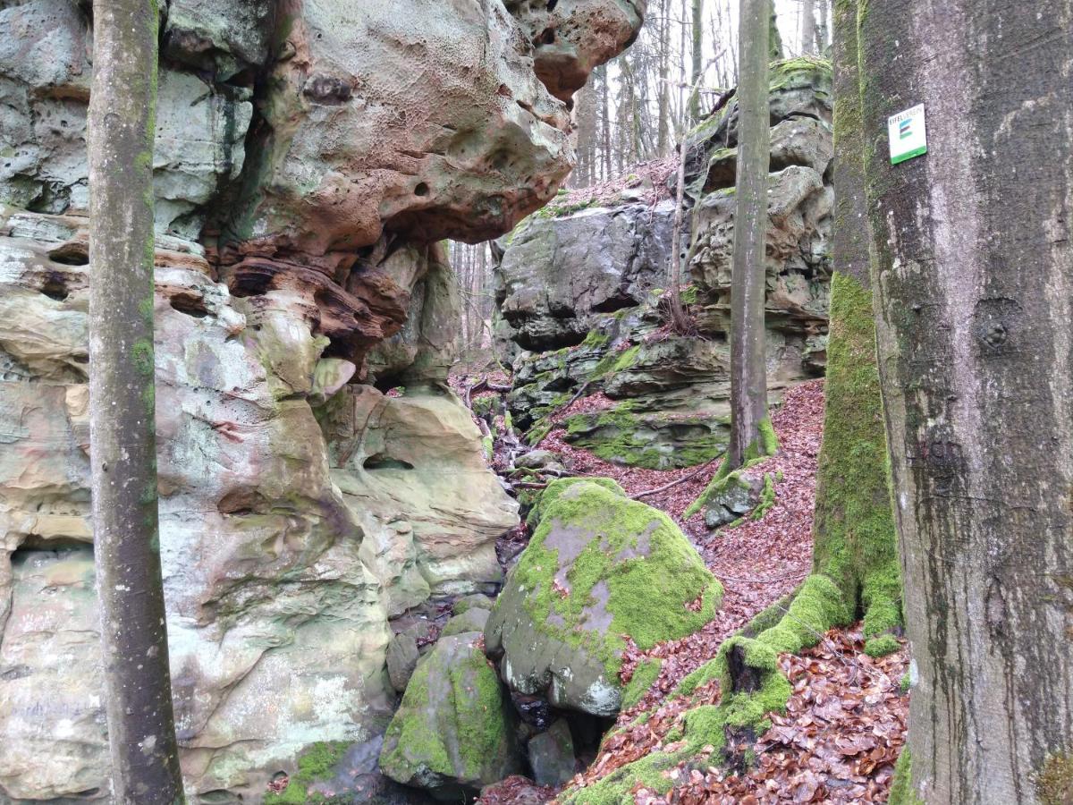 Ferienhaus Fraeulein Frenz Bollendorf Exteriér fotografie