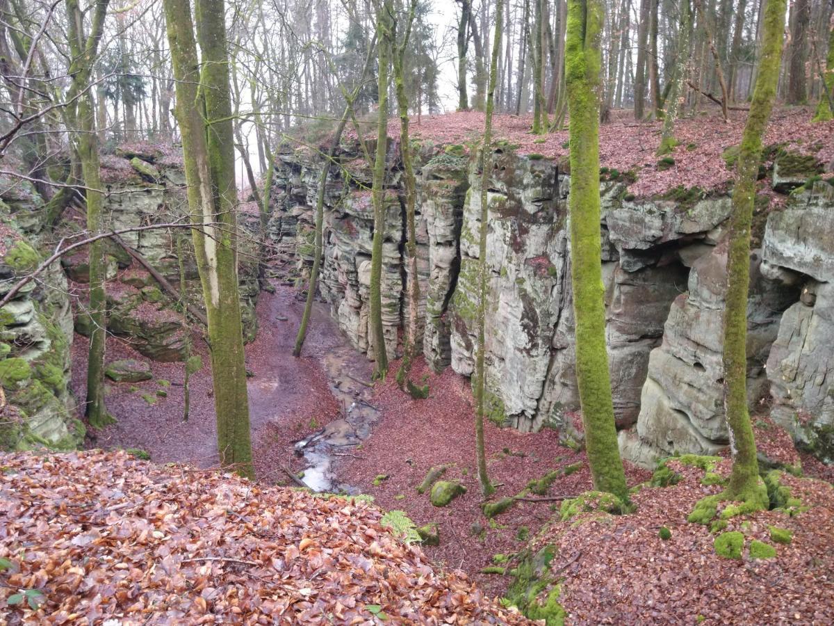 Ferienhaus Fraeulein Frenz Bollendorf Exteriér fotografie