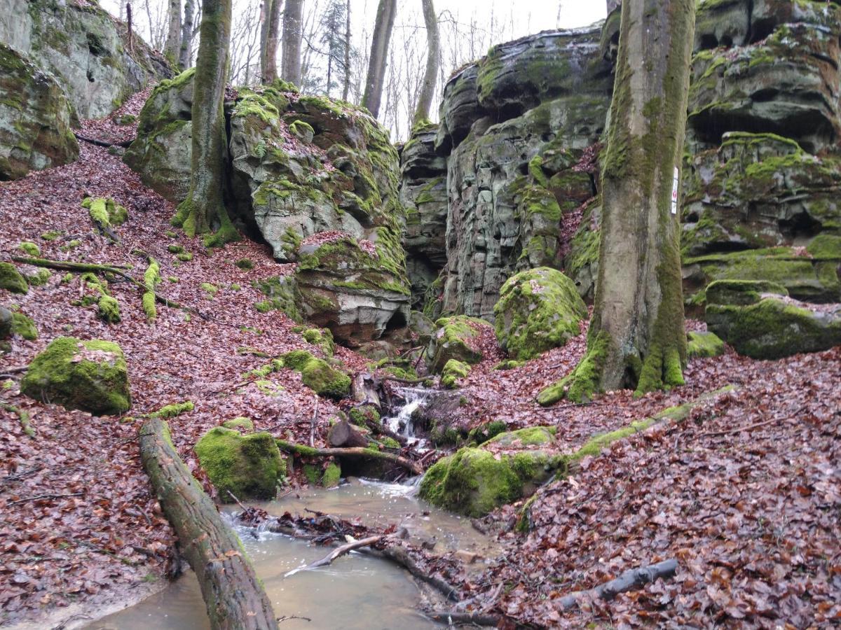 Ferienhaus Fraeulein Frenz Bollendorf Exteriér fotografie