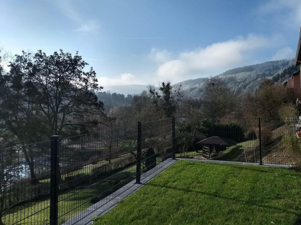 Ferienhaus Fraeulein Frenz Bollendorf Exteriér fotografie